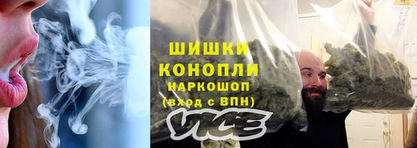 стаф Балахна