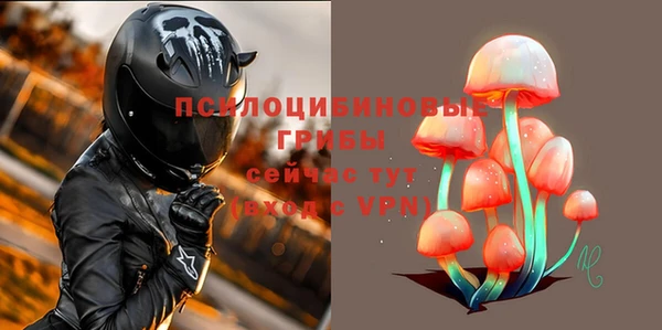 jwh Белокуриха