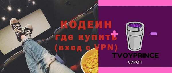 стаф Балахна