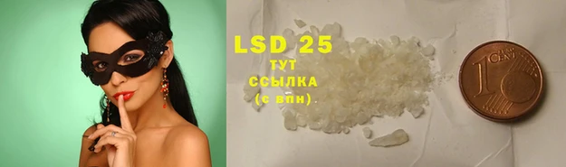 ПСИЛОЦИБИНОВЫЕ ГРИБЫ Сафоново