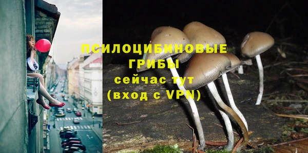 стаф Балахна