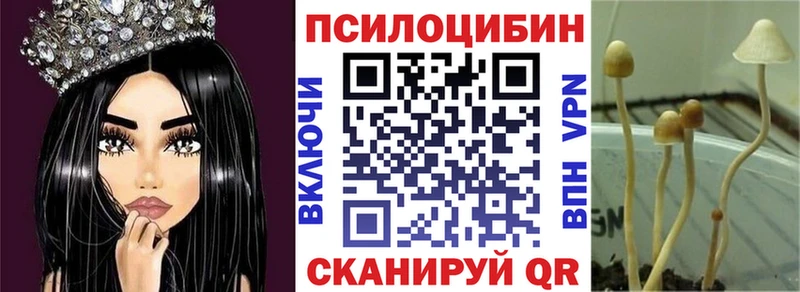 Псилоцибиновые грибы ЛСД Новый Оскол